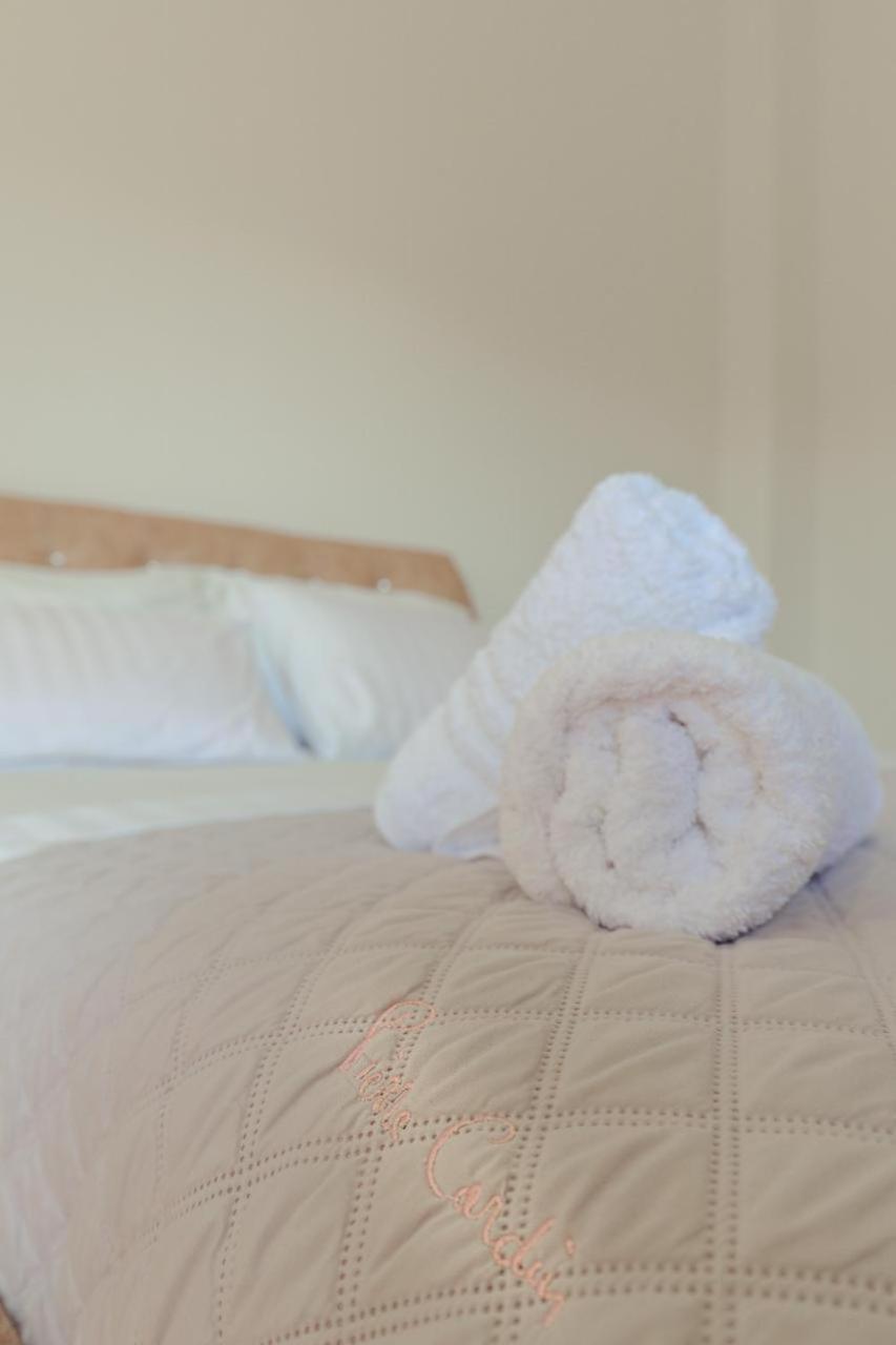 Sunflower Hotel 卡萨米尔 外观 照片